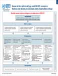 Resumen del marco de accin de Hyogo para 2005-2015 : Aumento de la resiliencia de las naciones y las comunidades ante los desastres (marco de Hyogo).