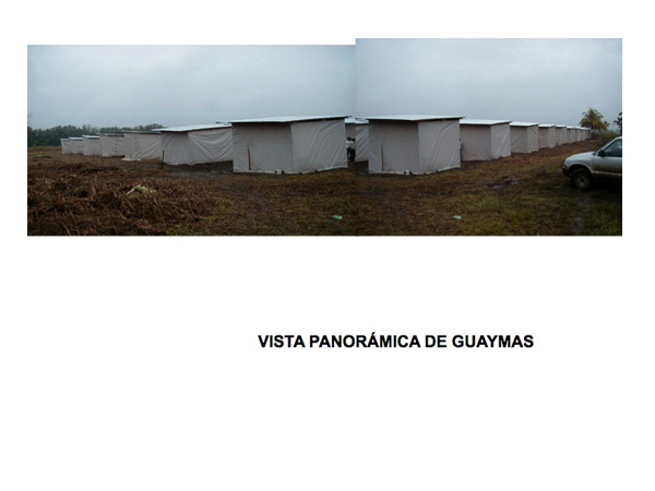 Slide06