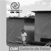 Galeria OIM